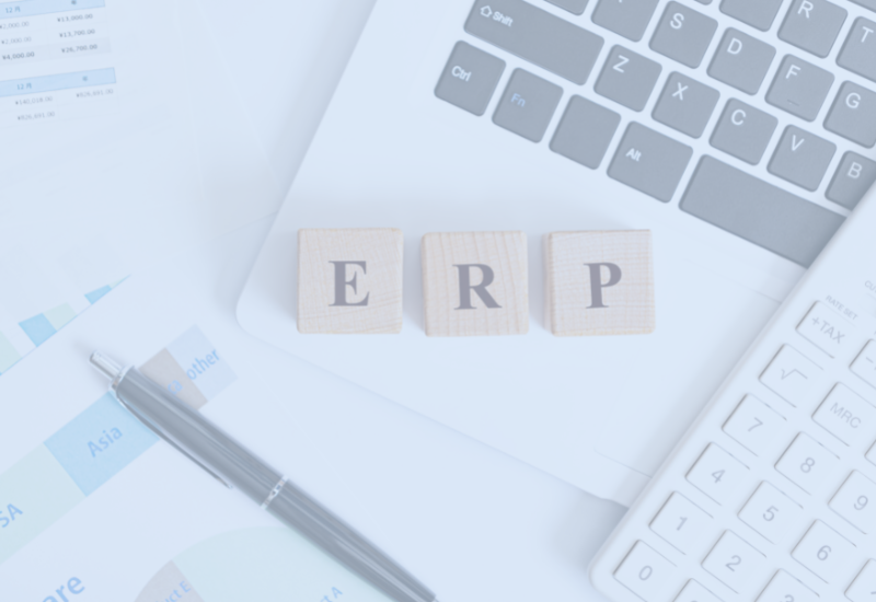What is included in the erp system