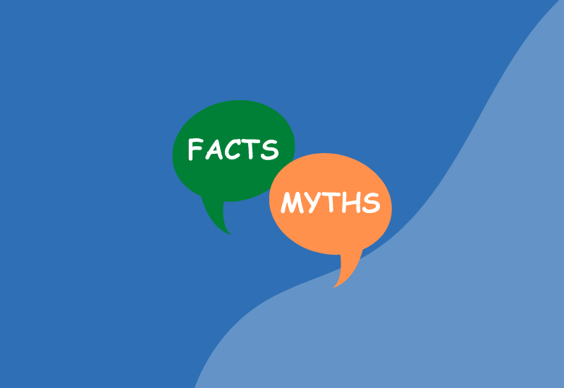 ERP system implementation - facts and myths