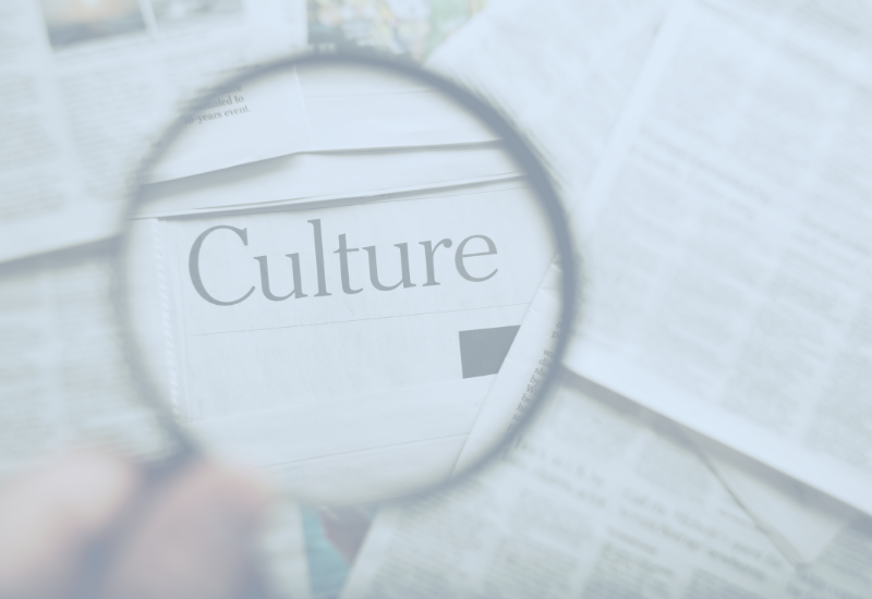 ERP system in a cultural institution - is it worth it and why?