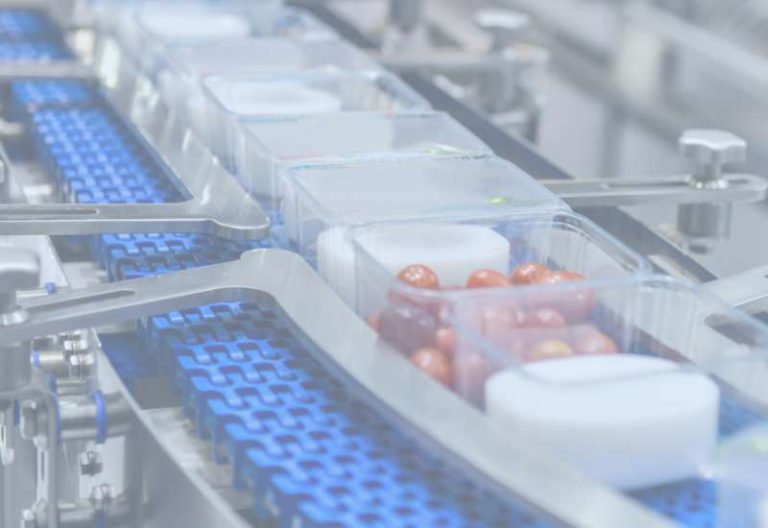 Effective management in the food industry thanks to the ERP system